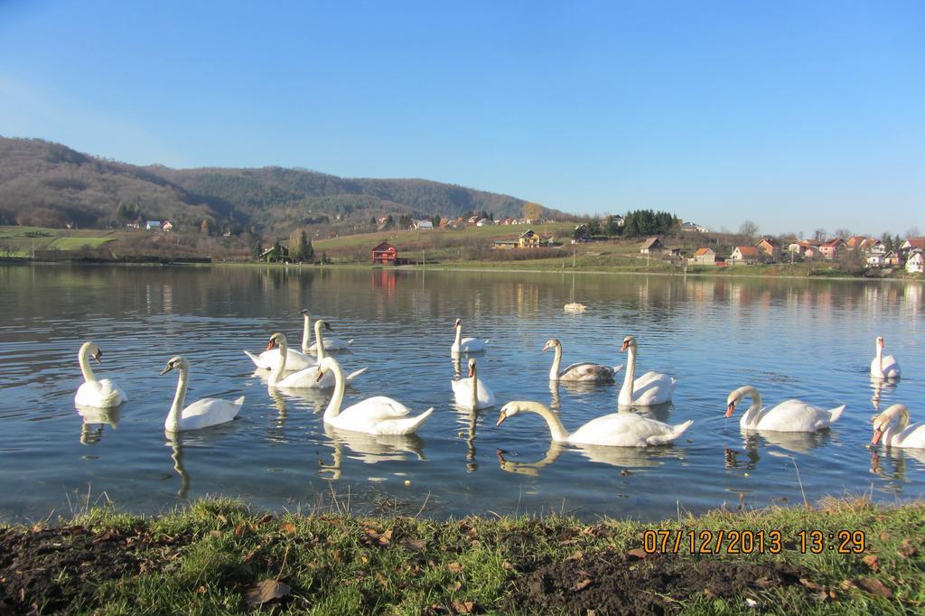 Apartment Marin Ogulin Εξωτερικό φωτογραφία