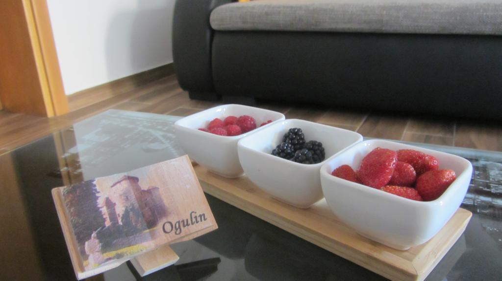 Apartment Marin Ogulin Εξωτερικό φωτογραφία
